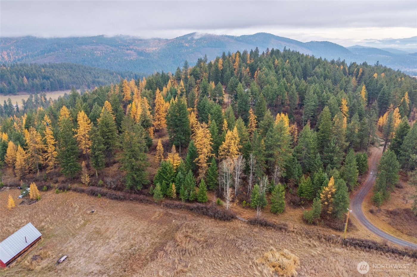 700 L Dry Gulch Road , Colville, WA 99114