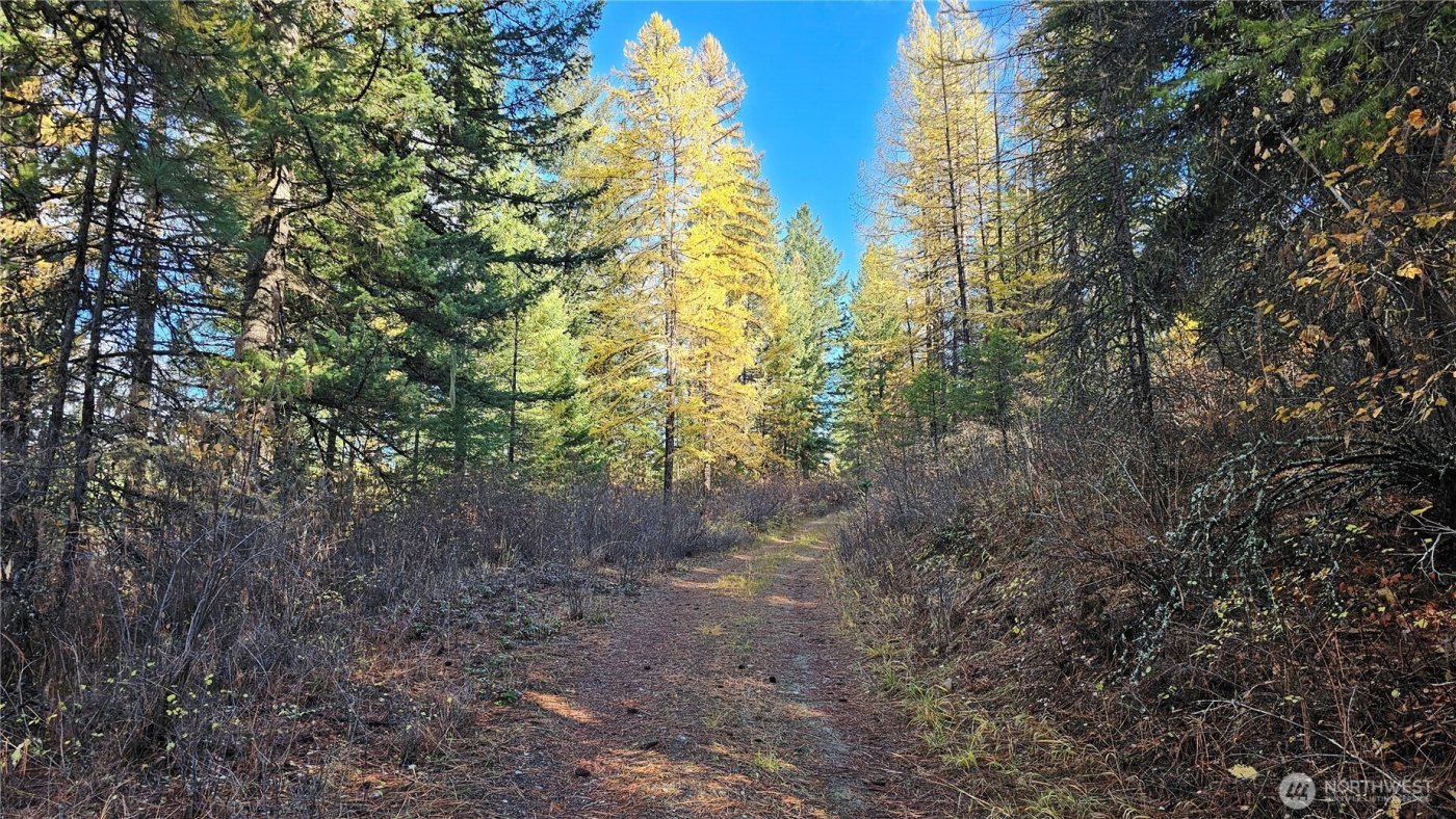 700 L Dry Gulch Road , Colville, WA 99114