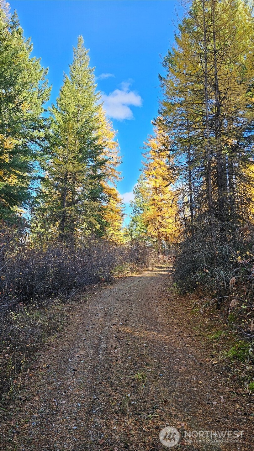 700 L Dry Gulch Road , Colville, WA 99114