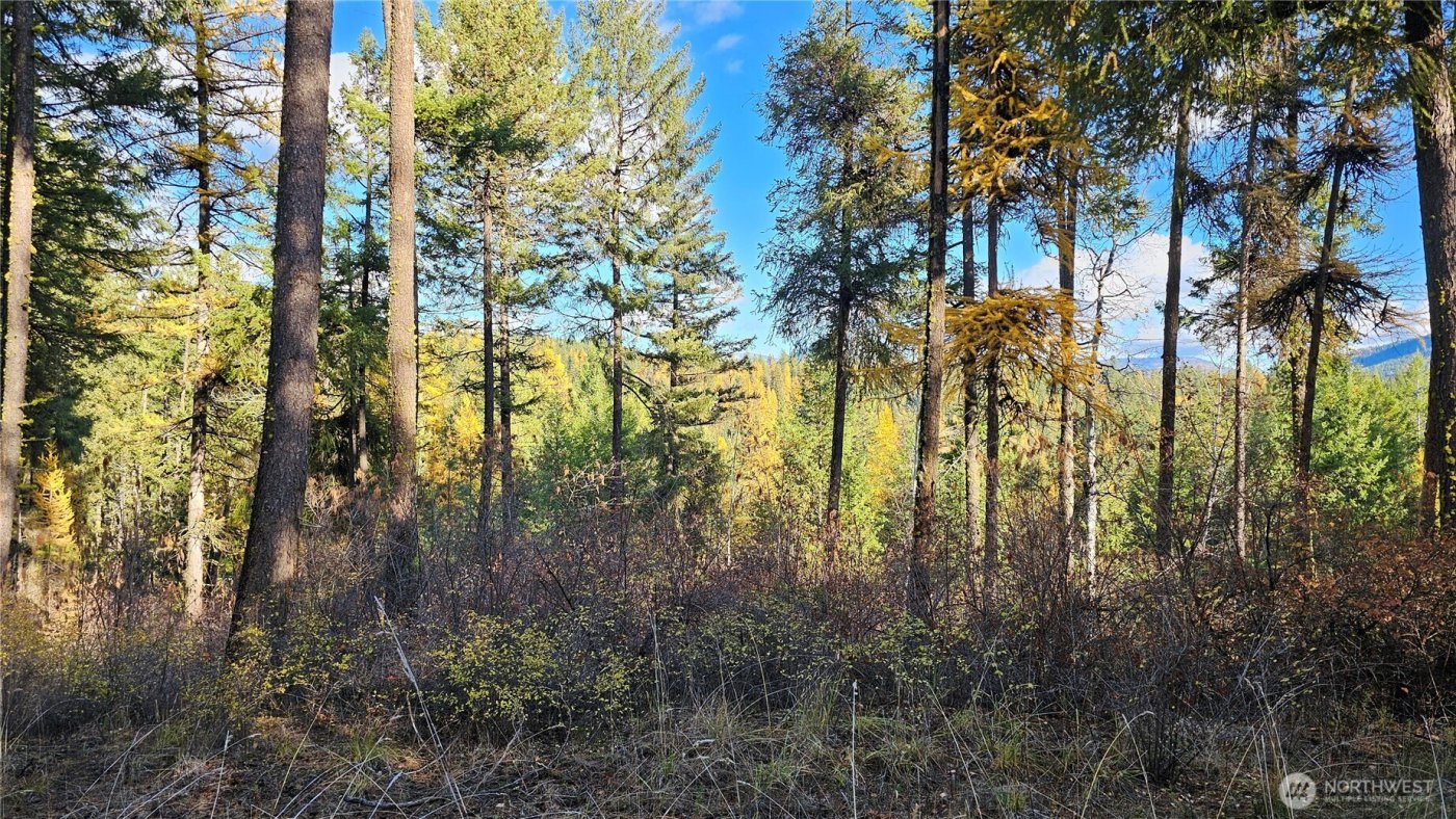 700 L Dry Gulch Road , Colville, WA 99114