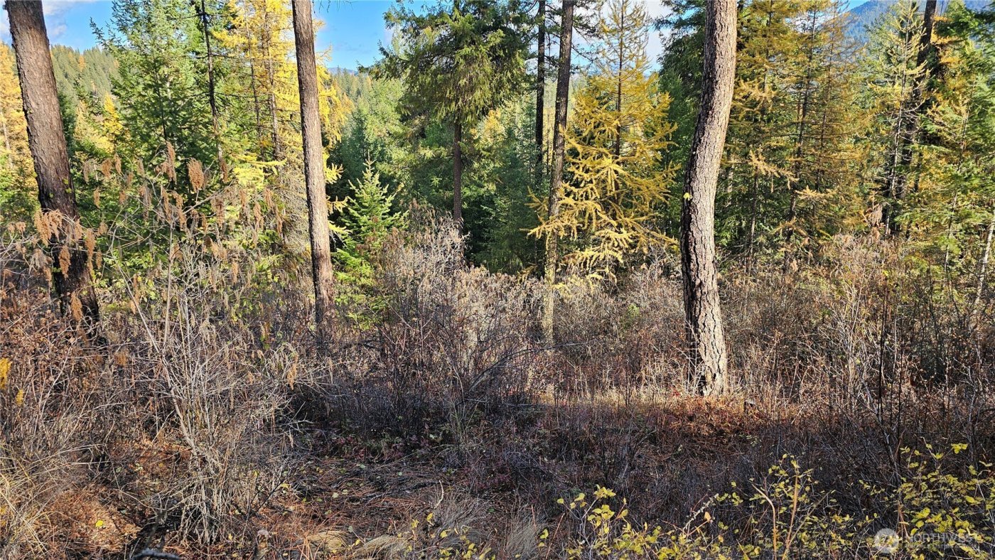 700 L Dry Gulch Road , Colville, WA 99114