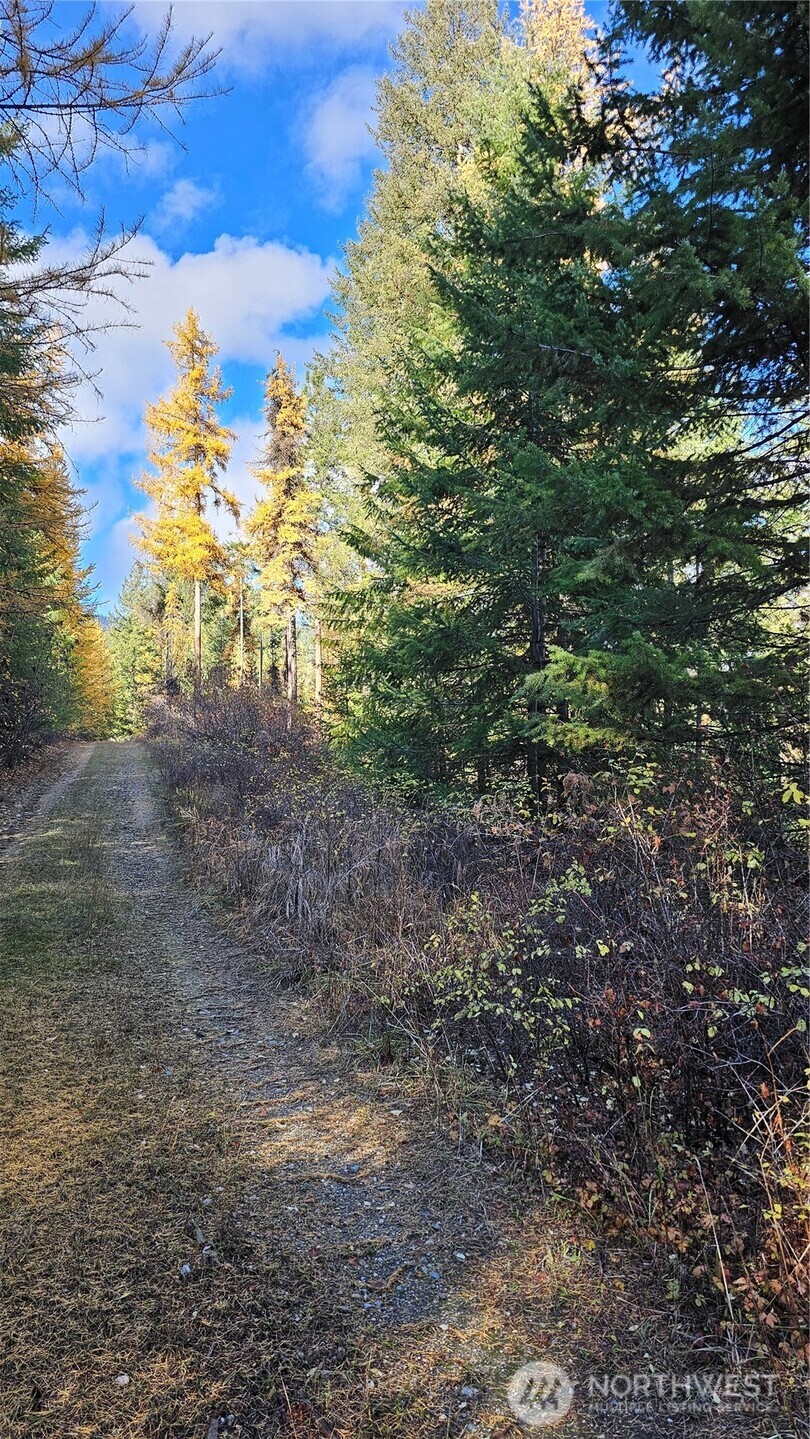 700 L Dry Gulch Road , Colville, WA 99114