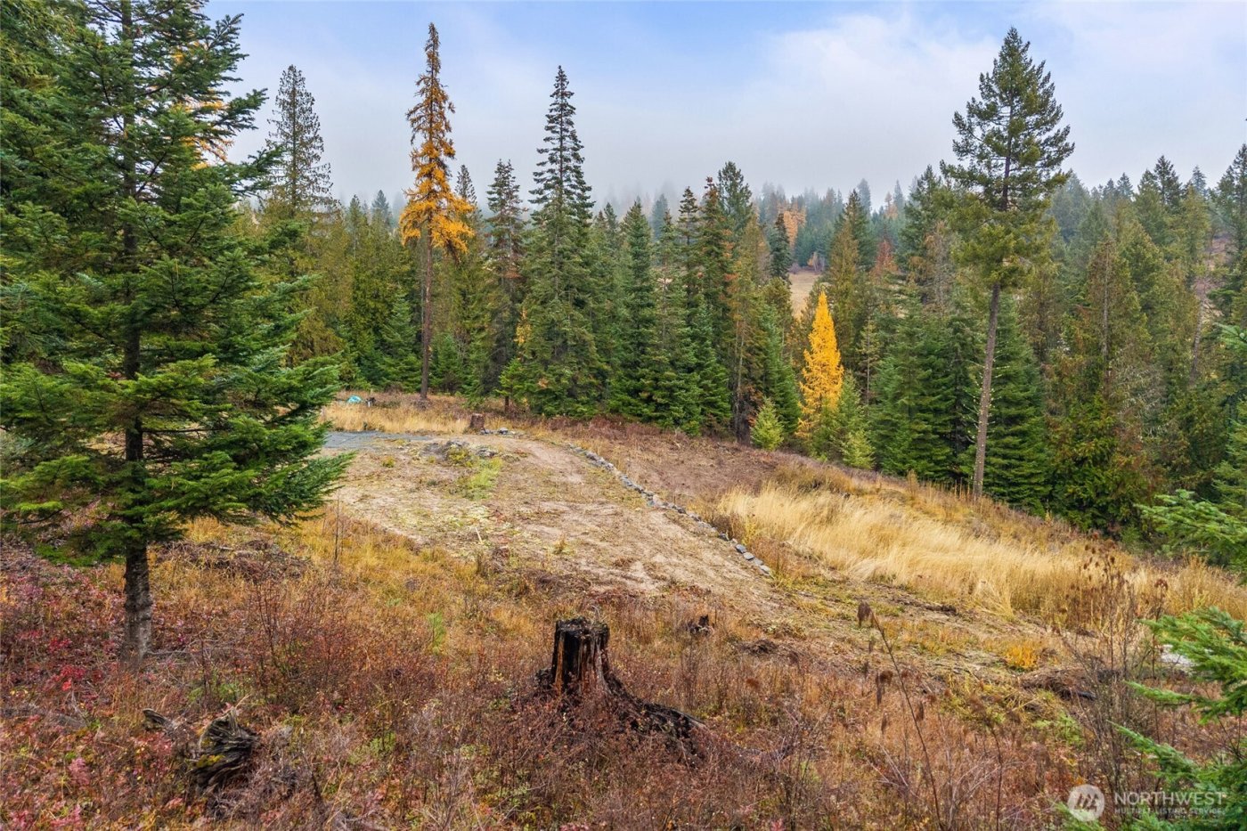 717 B Finley Gulch Road , Colville, WA 99114