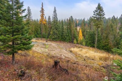 717 B Finley Gulch Road , Colville, WA 99114