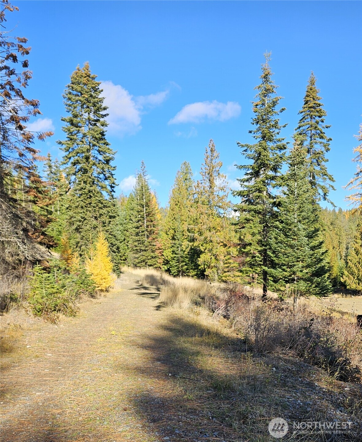 717 B Finley Gulch Road , Colville, WA 99114