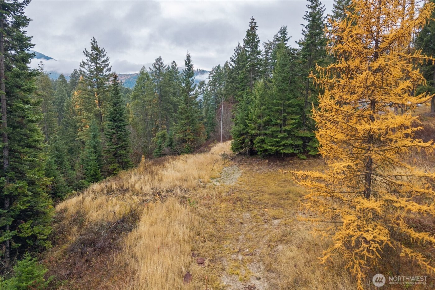 717 B Finley Gulch Road , Colville, WA 99114