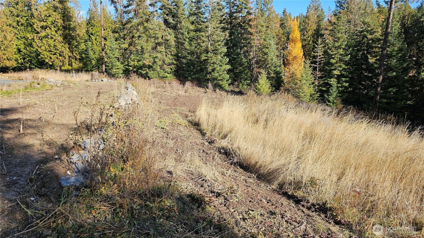 717 B Finley Gulch Road , Colville, WA 99114