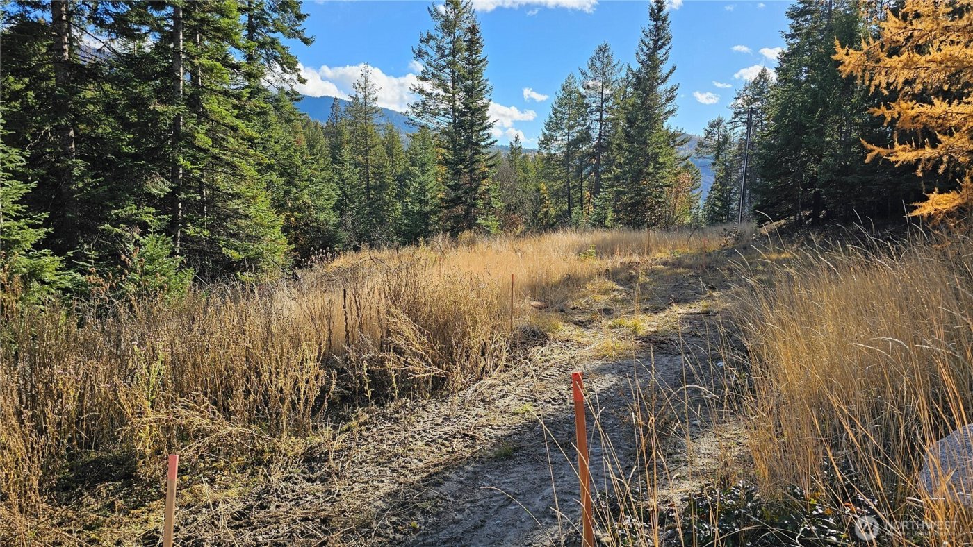 717 B Finley Gulch Road , Colville, WA 99114