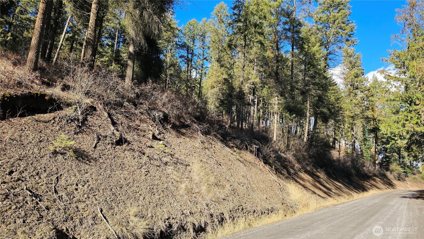 717 B Finley Gulch Road , Colville, WA 99114