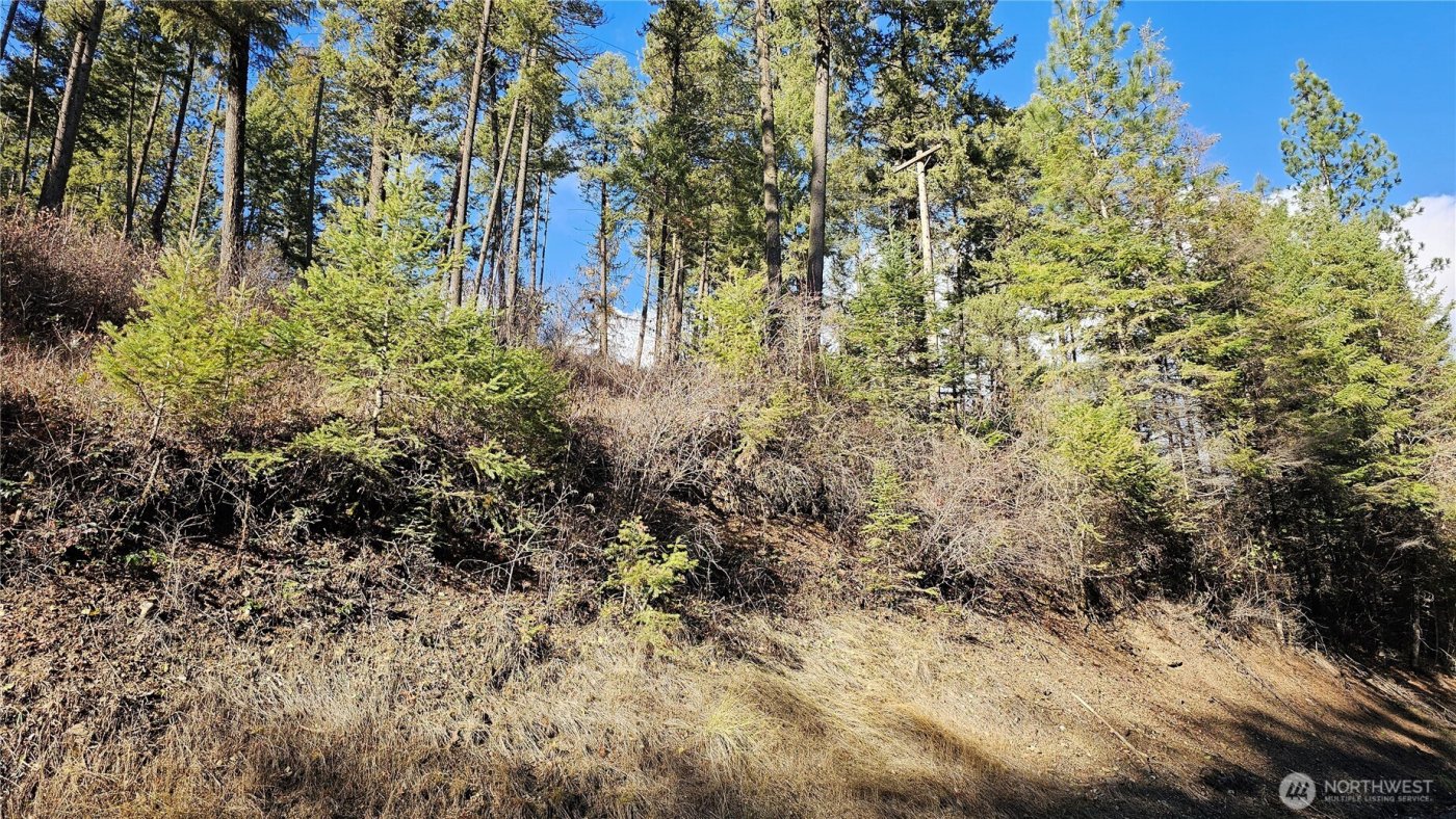 717 B Finley Gulch Road , Colville, WA 99114