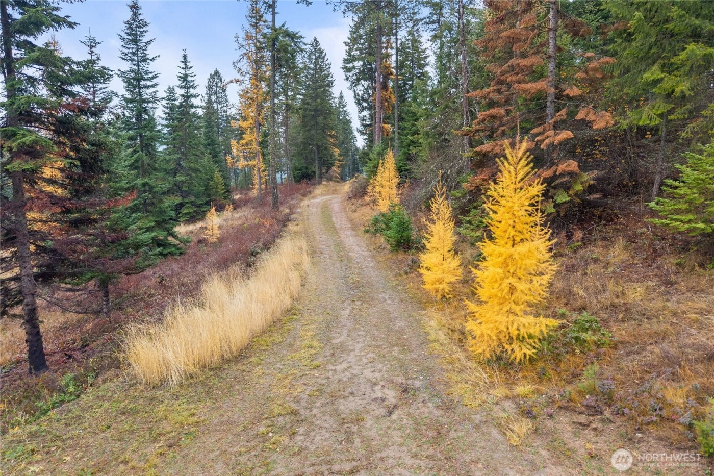 717 B Finley Gulch Road , Colville, WA 99114