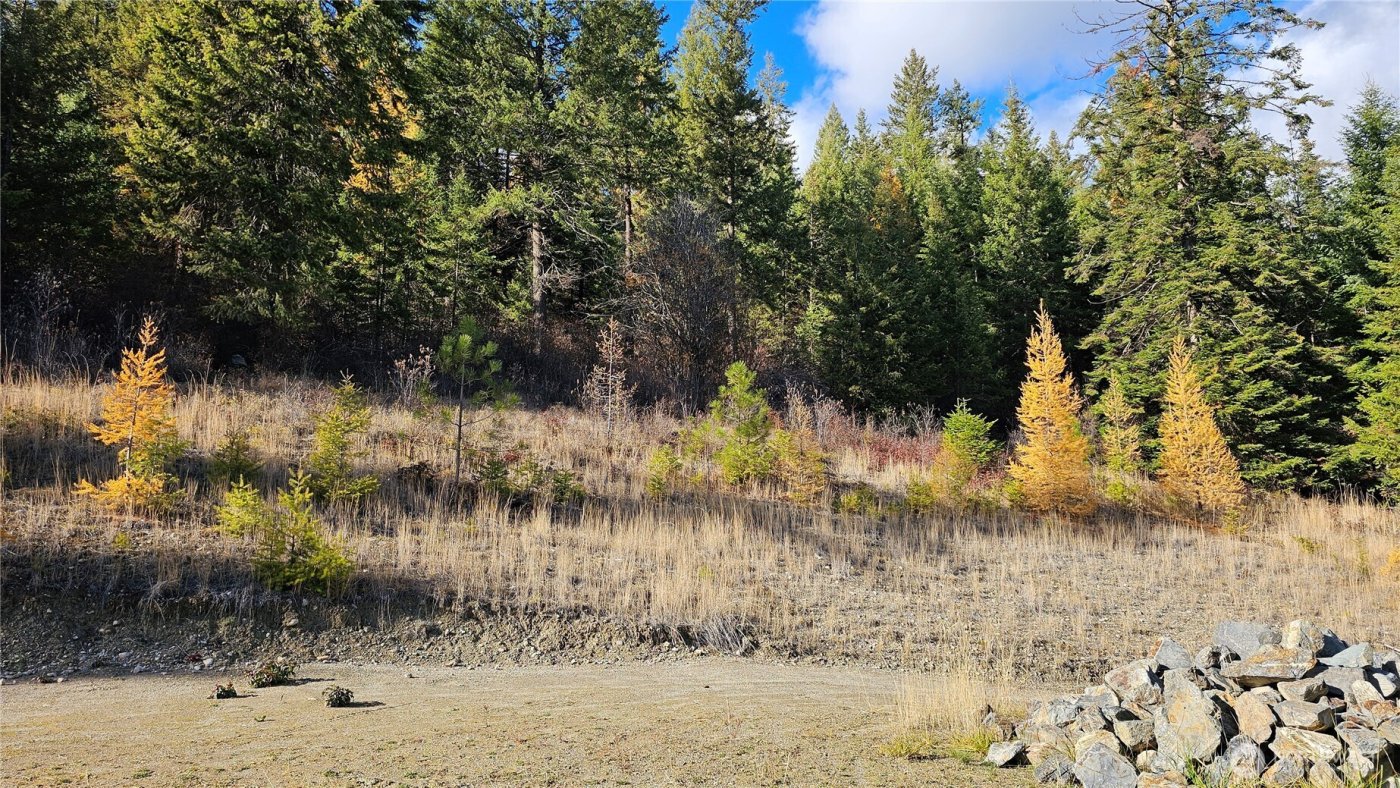 717 C Finley Gulch Rd. , Colville, WA 99114