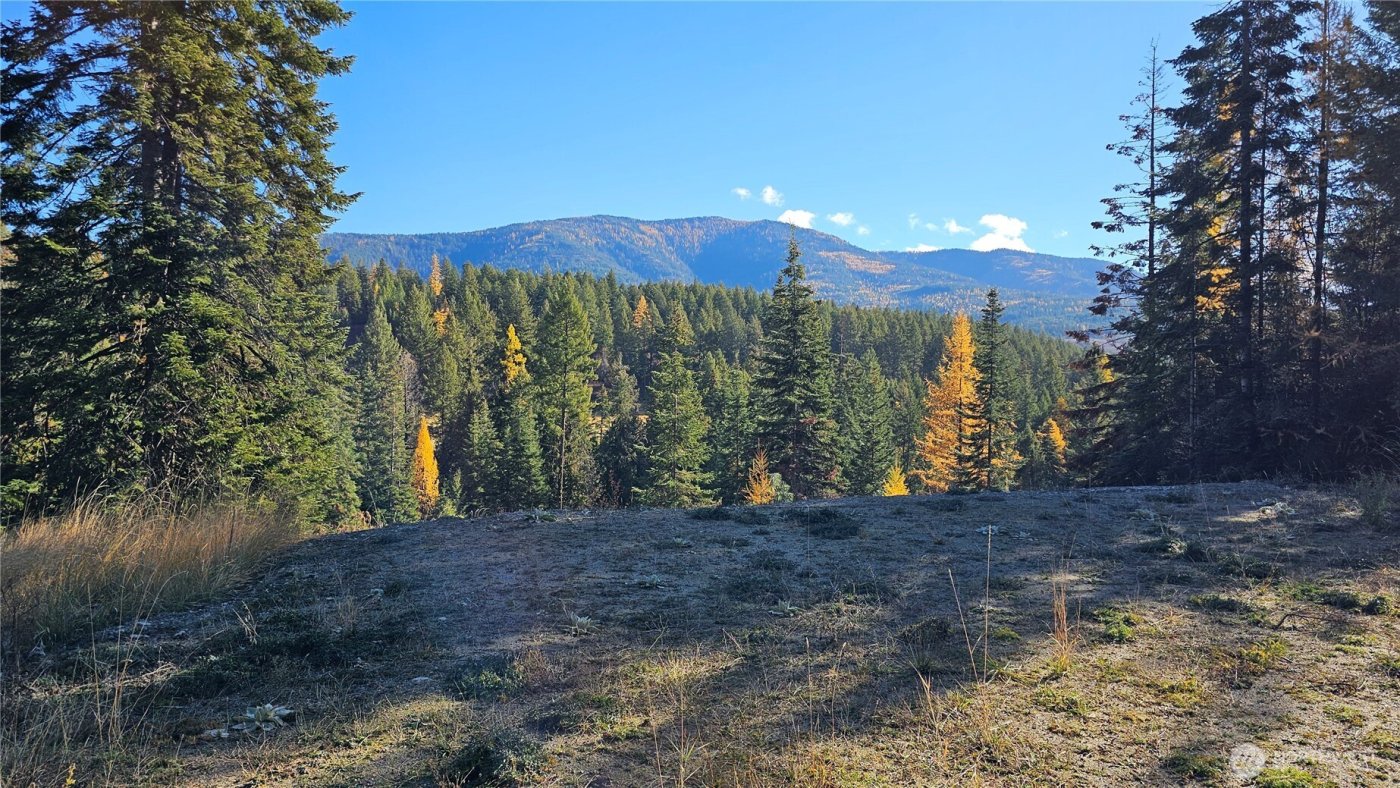 717 C Finley Gulch Rd. , Colville, WA 99114