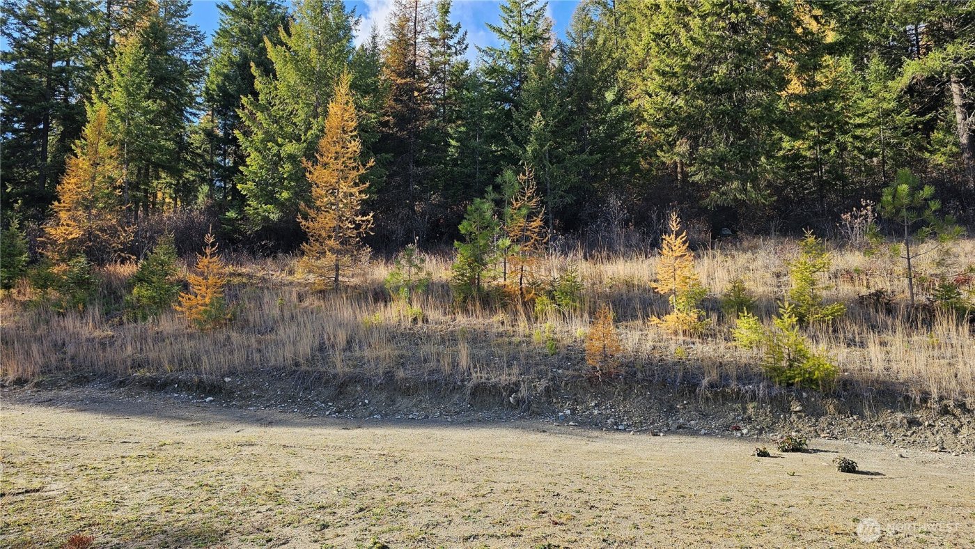 717 C Finley Gulch Rd. , Colville, WA 99114