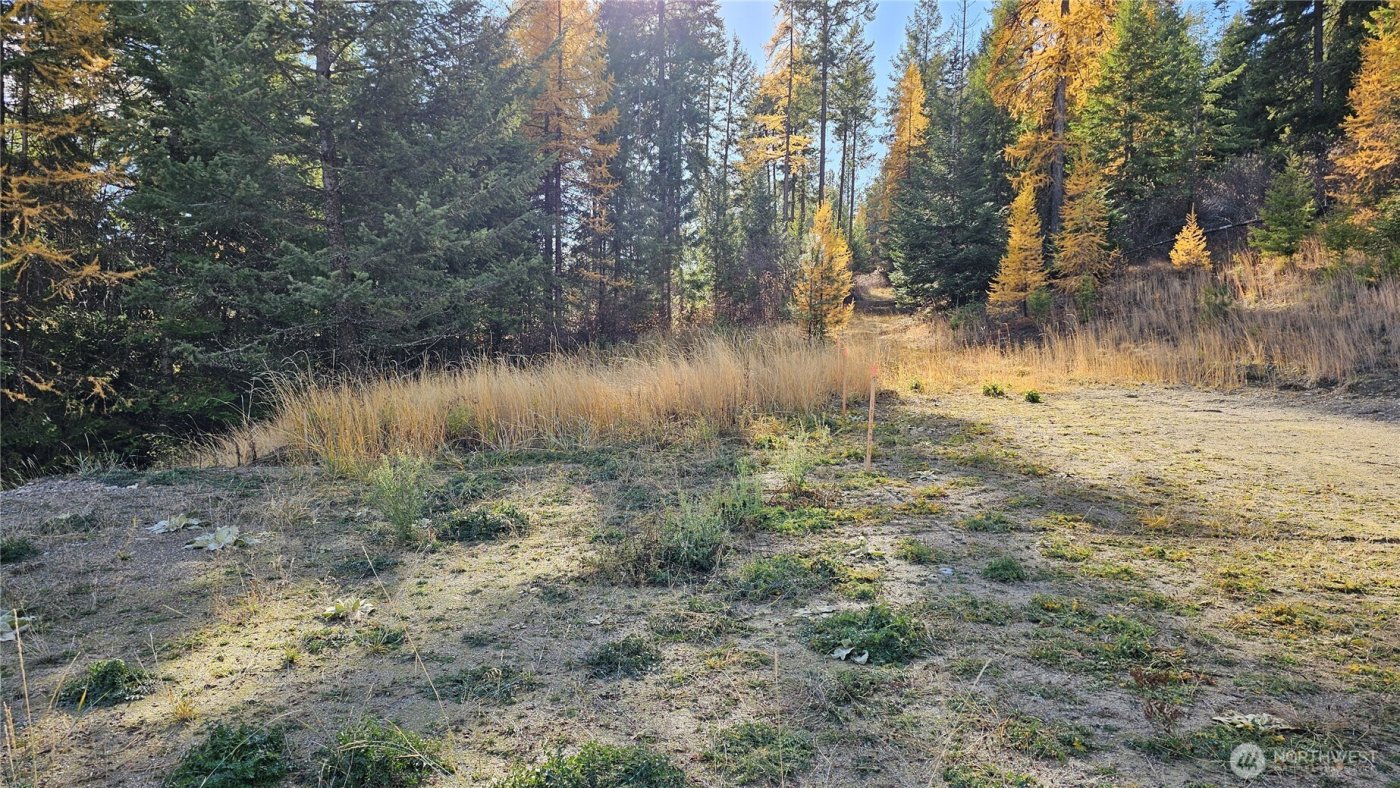 717 C Finley Gulch Rd. , Colville, WA 99114