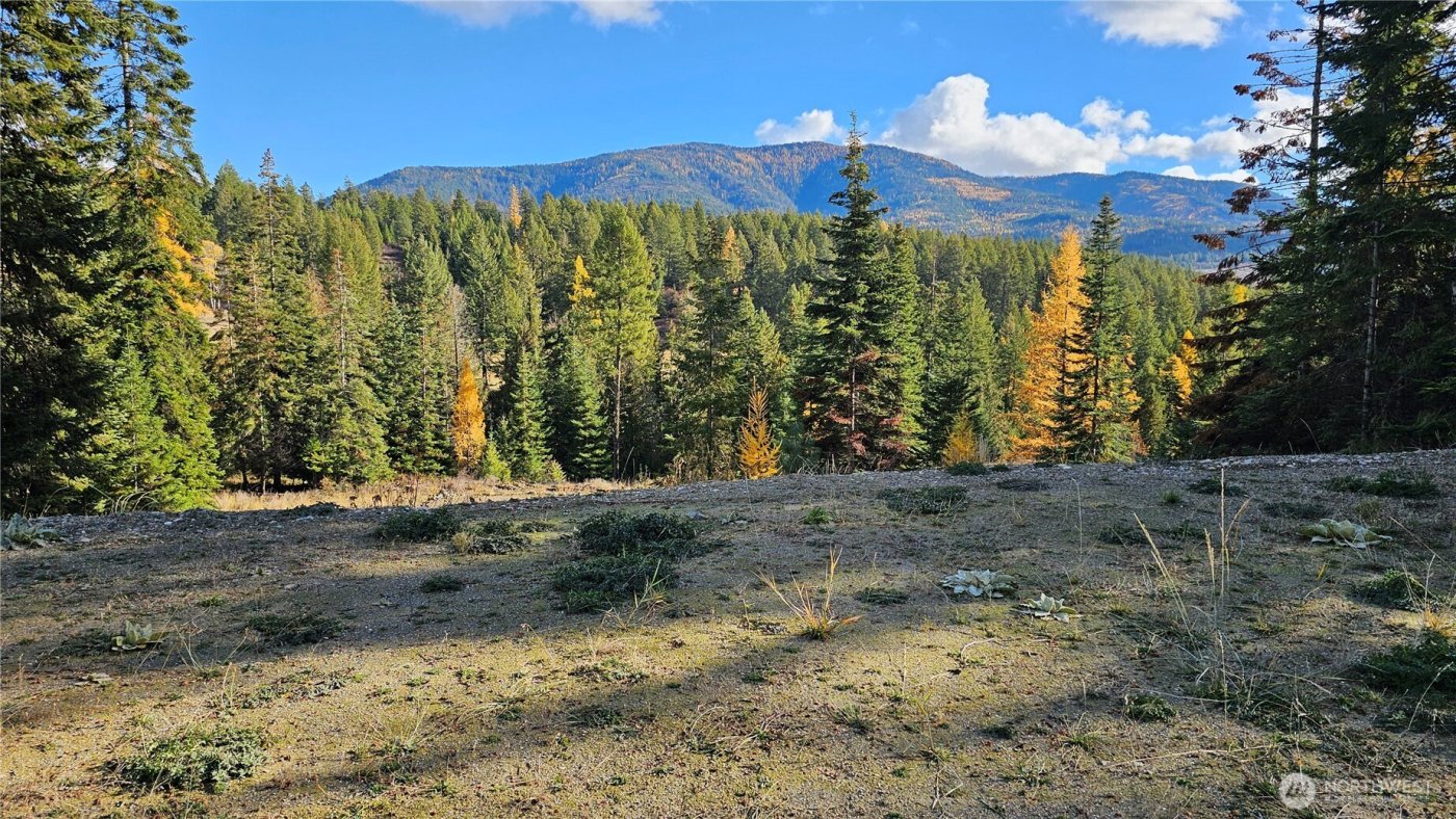 717 C Finley Gulch Rd. , Colville, WA 99114