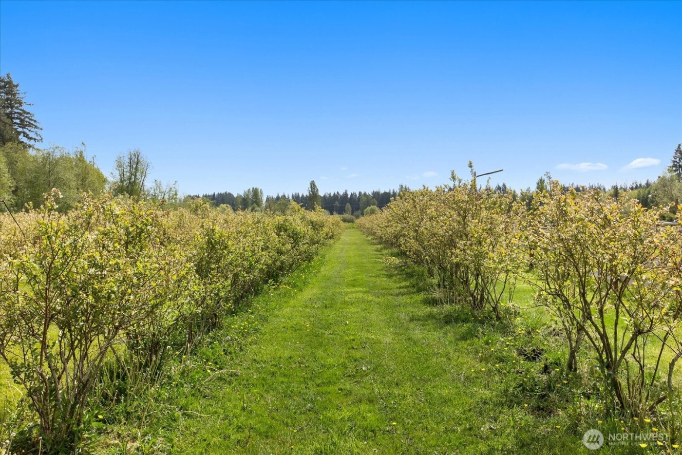 5628 Grandview Road , Arlington, WA 98223