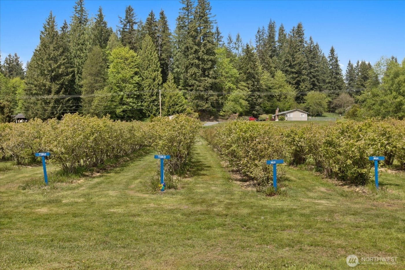 5628 Grandview Road , Arlington, WA 98223