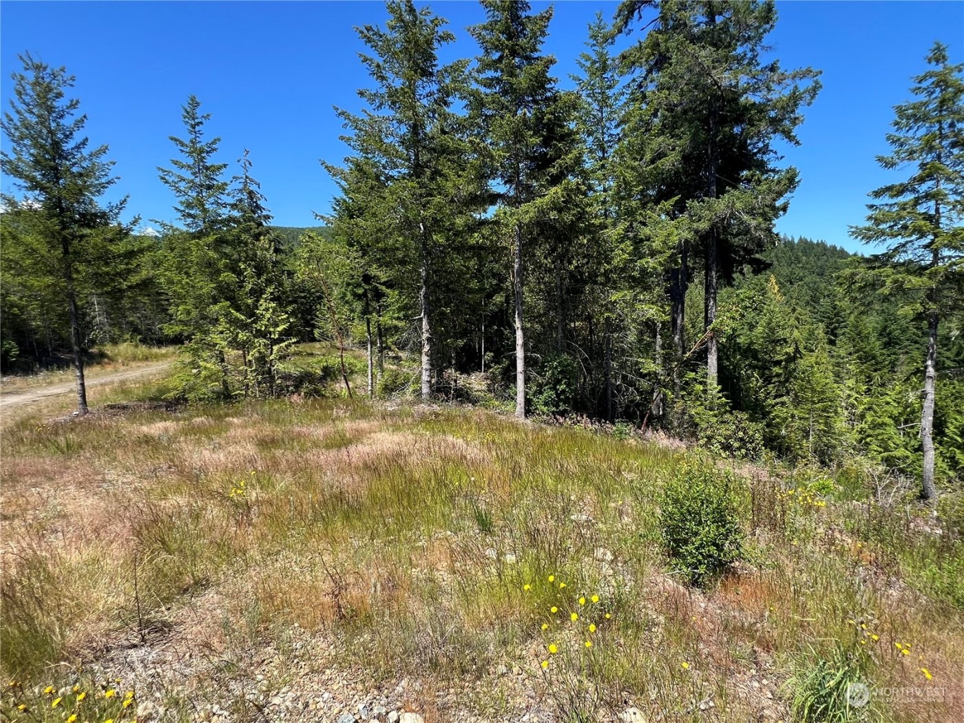 2 XXXX Mt Jupiter Road , Brinnon, WA 98376