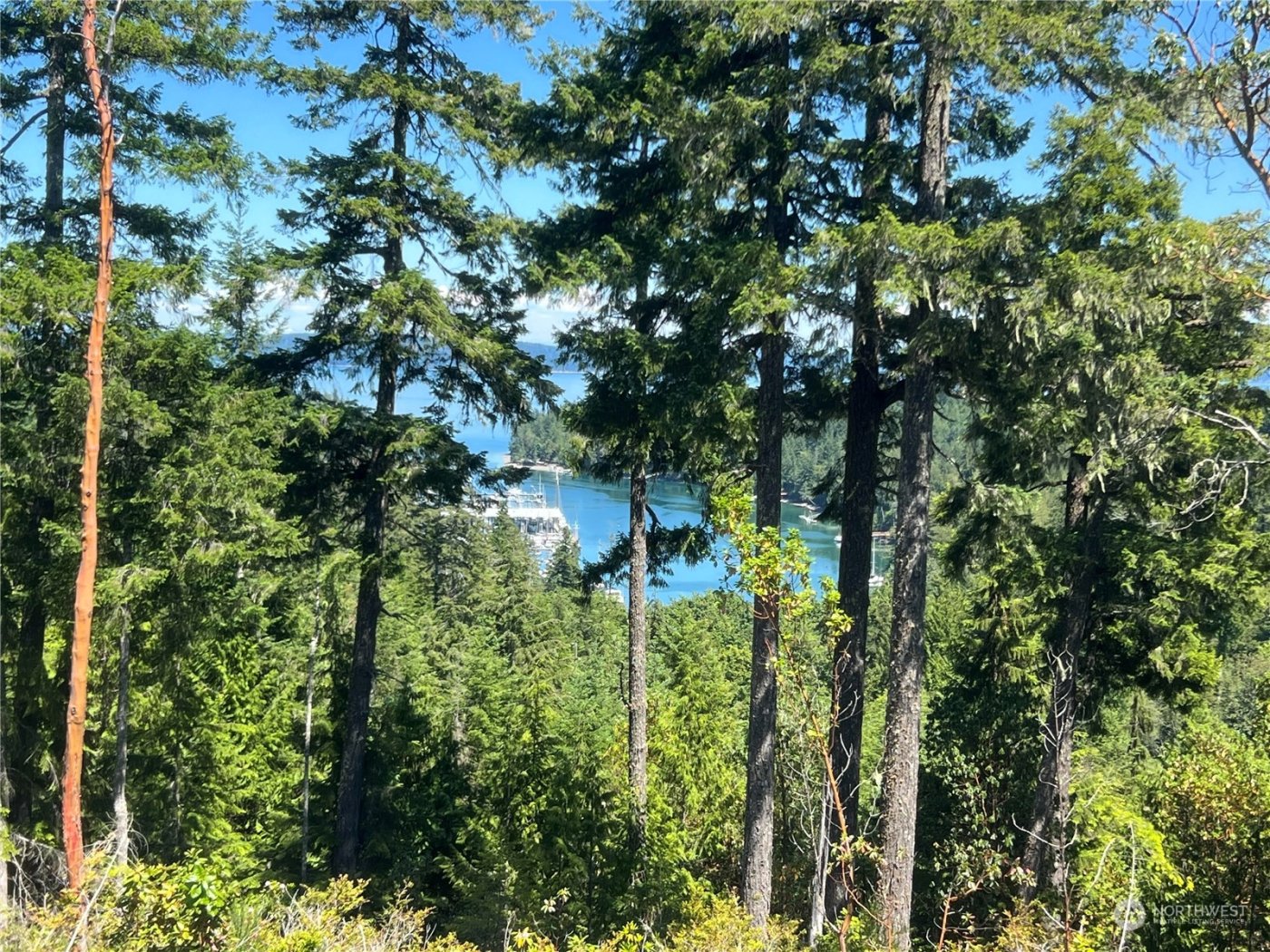 2 XXXX Mt Jupiter Road , Brinnon, WA 98376