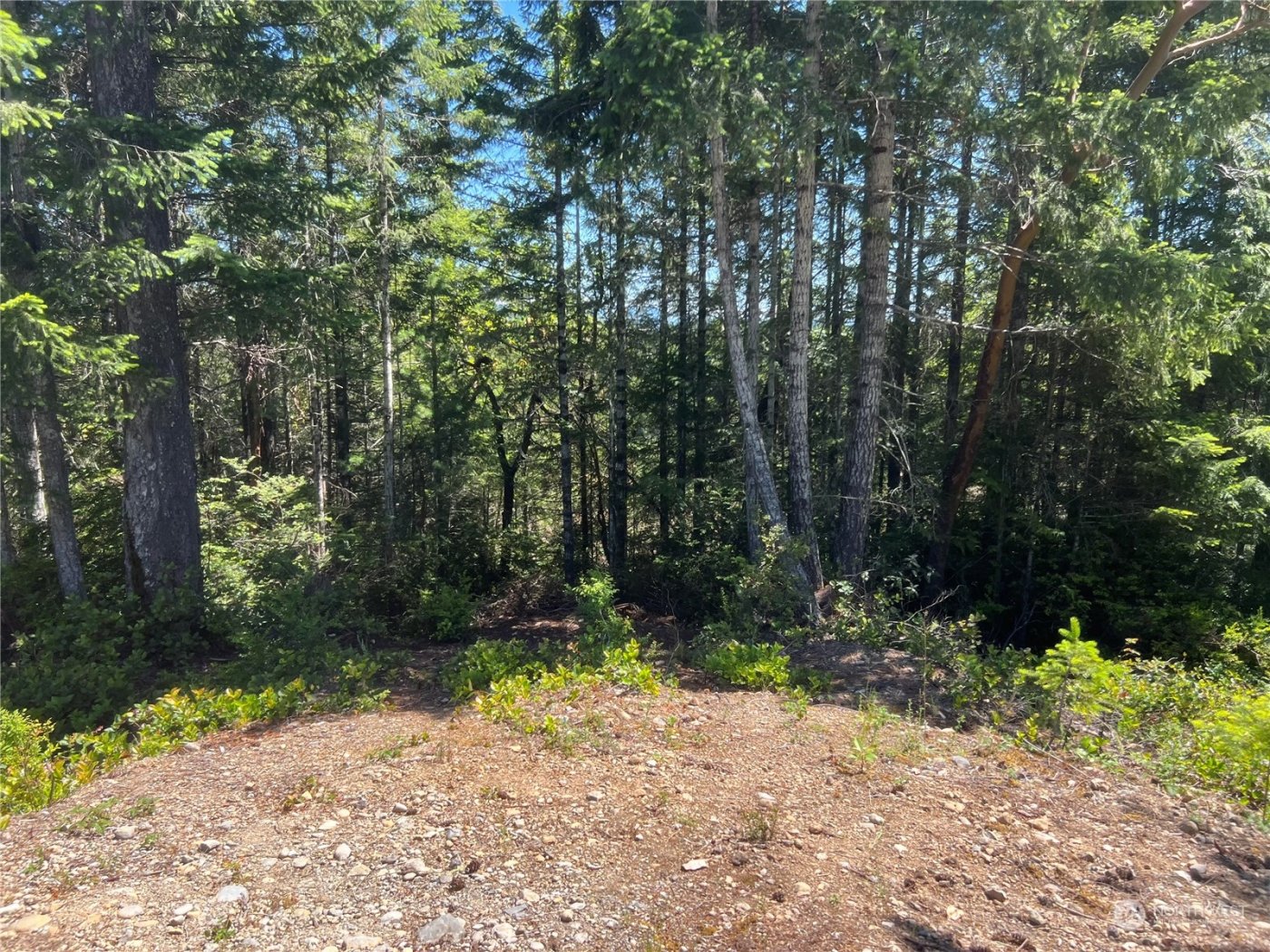 2 XXXX Mt Jupiter Road , Brinnon, WA 98376