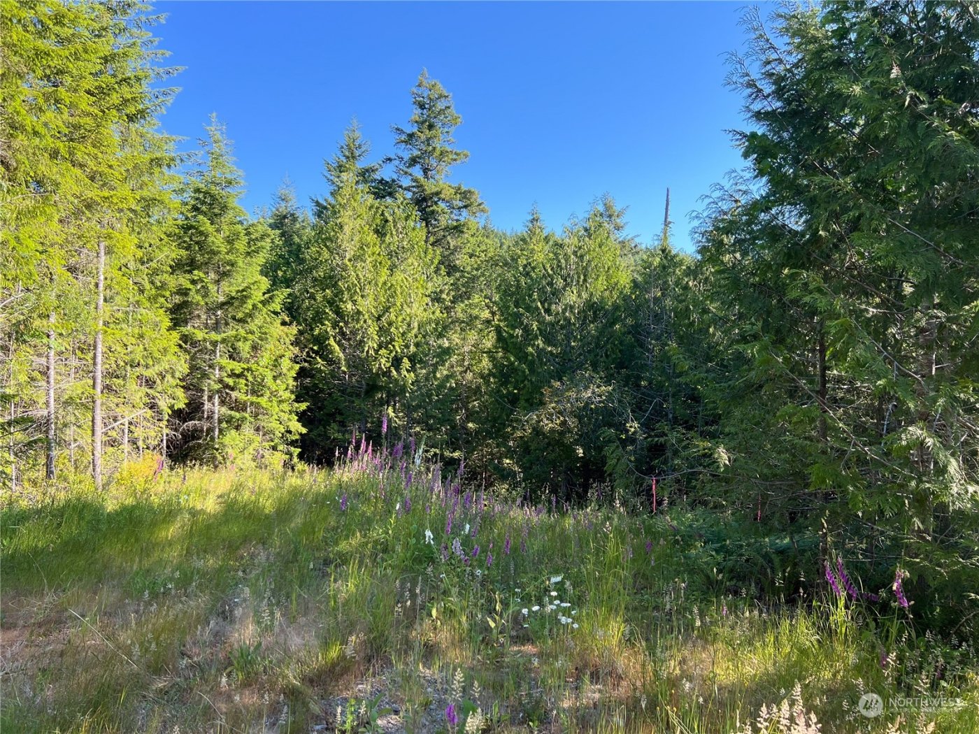 2 XXXX Mt Jupiter Road , Brinnon, WA 98376