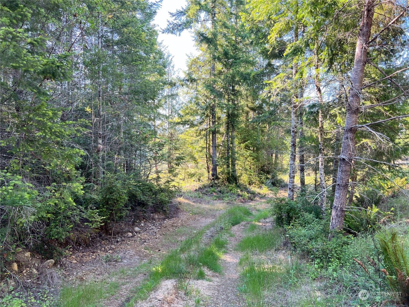 2 XXXX Mt Jupiter Road , Brinnon, WA 98376