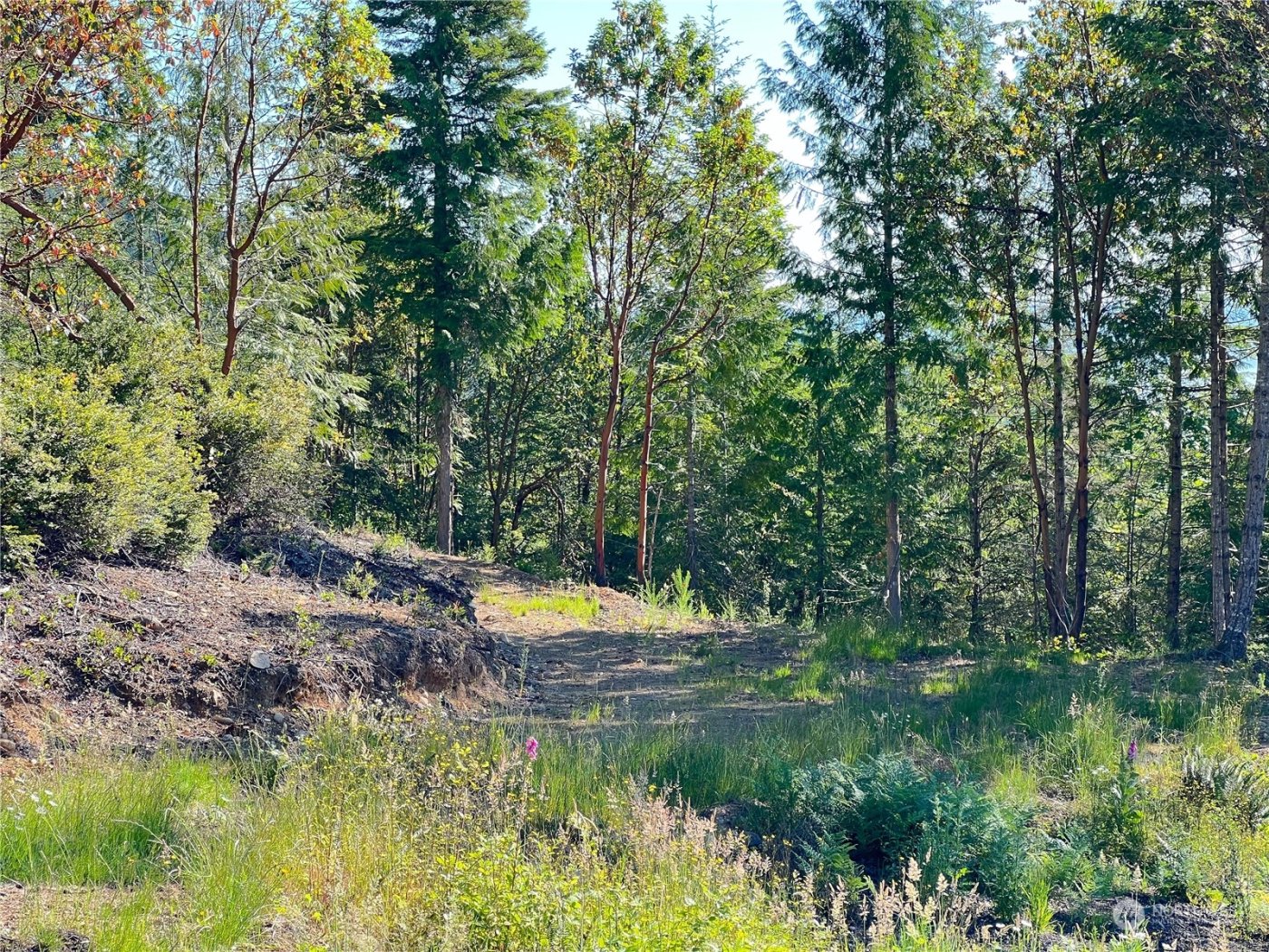 2 XXXX Mt Jupiter Road , Brinnon, WA 98376