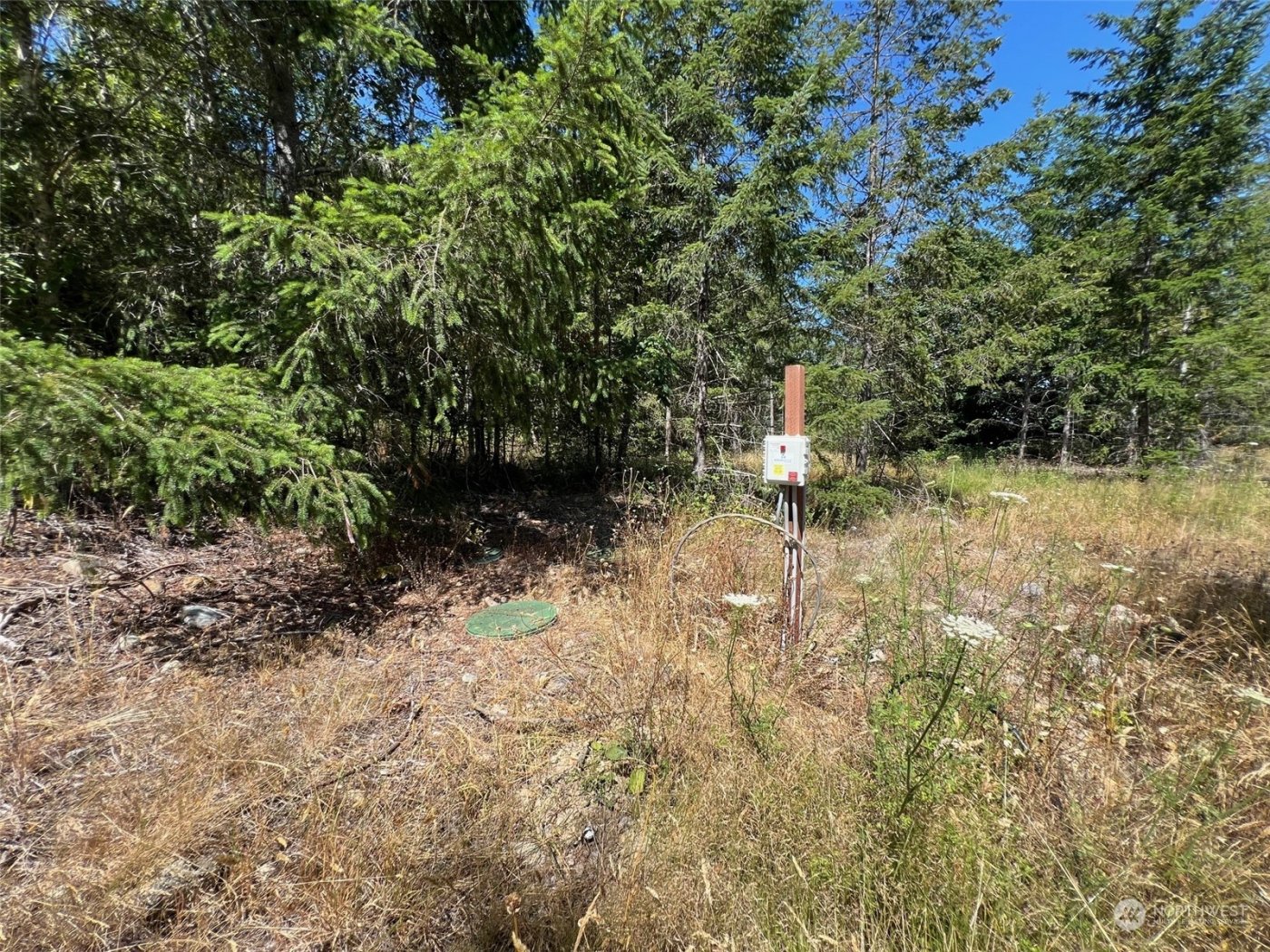 2 XXXX Mt Jupiter Road , Brinnon, WA 98376