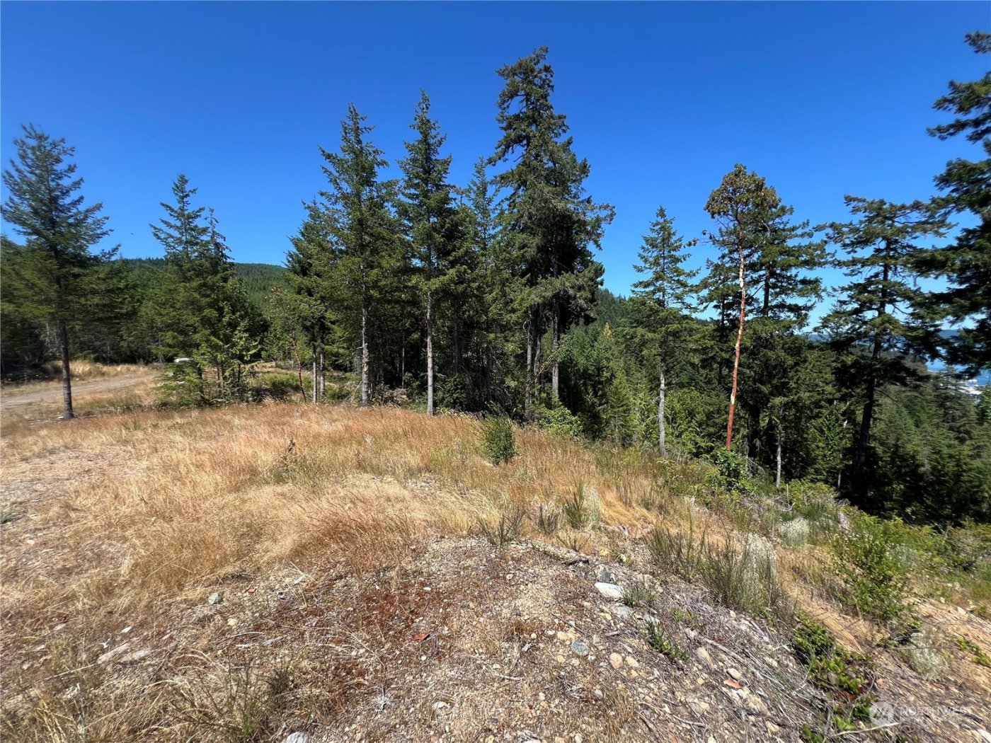 2 XXXX Mt Jupiter Road , Brinnon, WA 98376