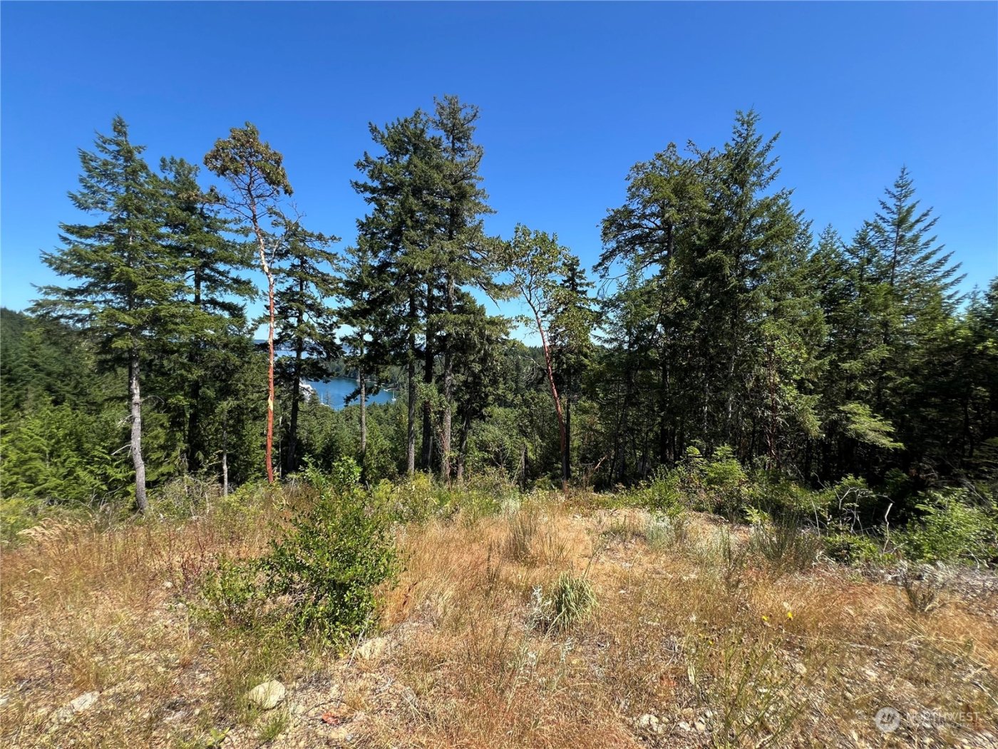 2 XXXX Mt Jupiter Road , Brinnon, WA 98376