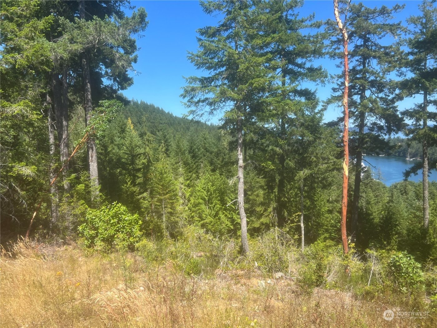 2 XXXX Mt Jupiter Road , Brinnon, WA 98376