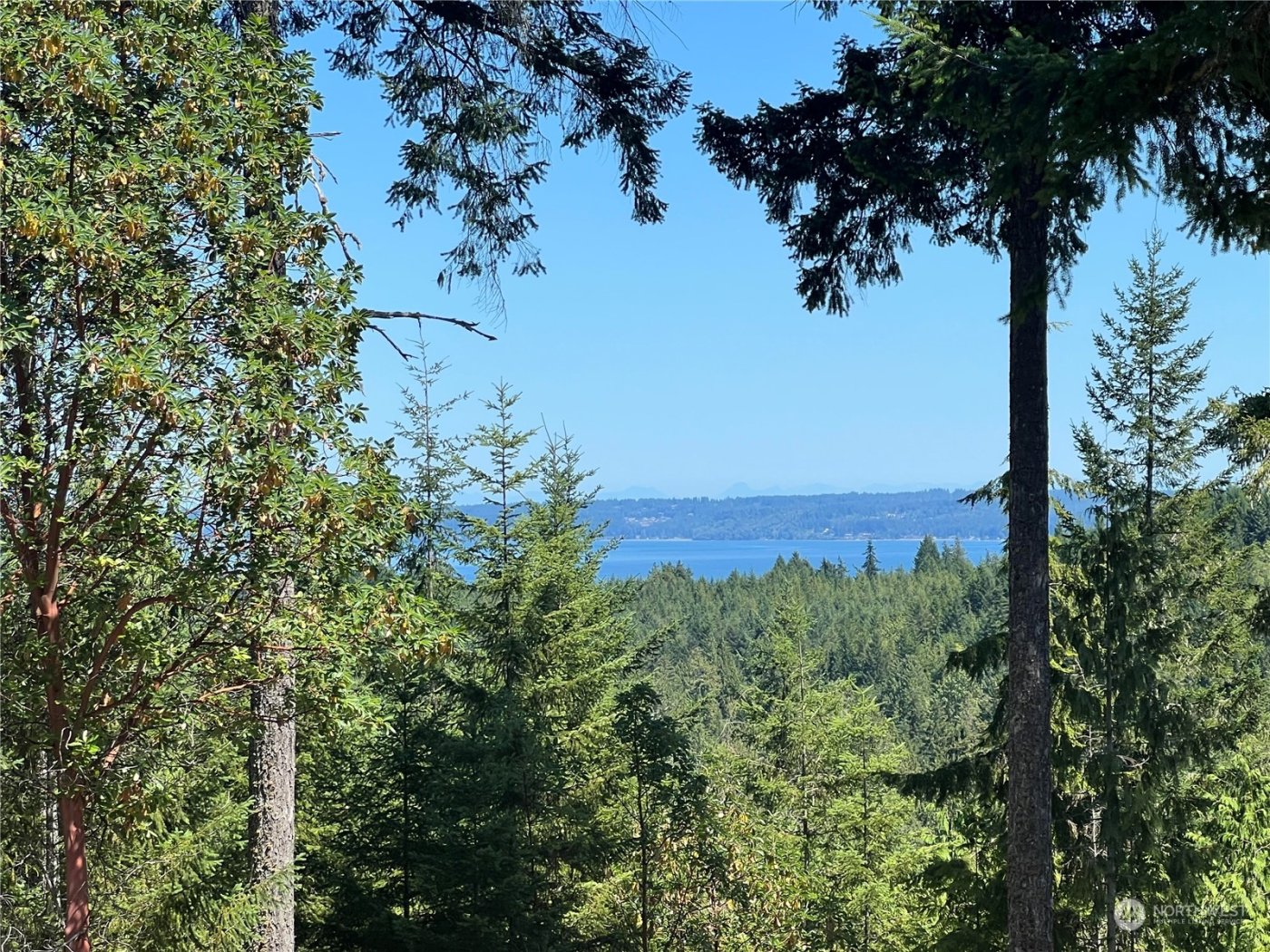 2 XXXX Mt Jupiter Road , Brinnon, WA 98376