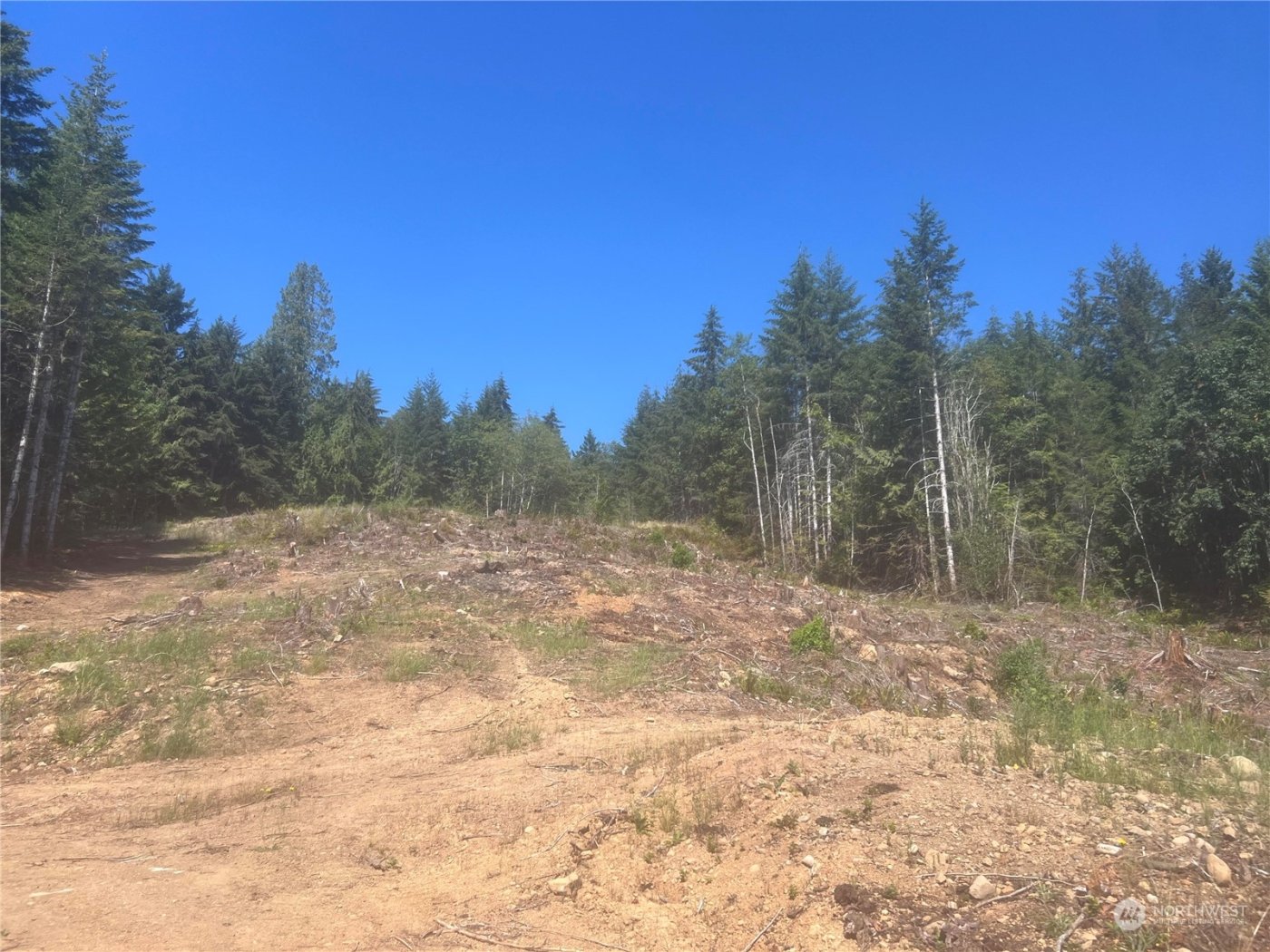 1 XXXX Mt Jupiter Road , Brinnon, WA 98320