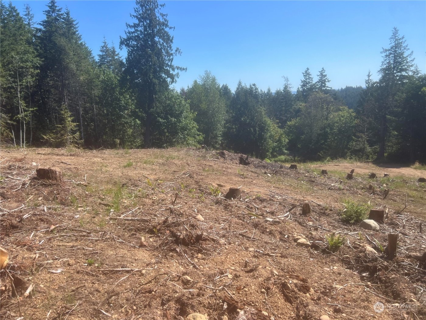 1 XXXX Mt Jupiter Road , Brinnon, WA 98320