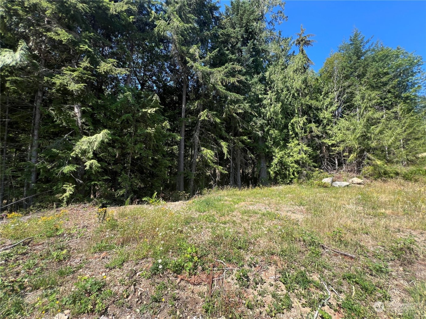 1 XXXX Mt Jupiter Road , Brinnon, WA 98320