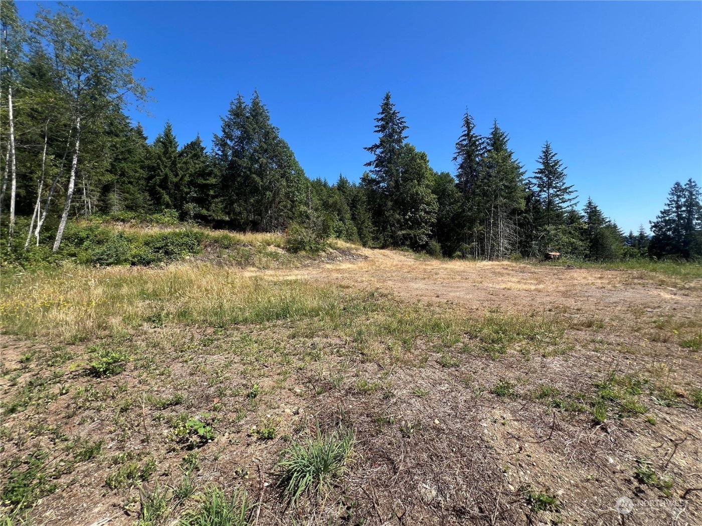 1 XXXX Mt Jupiter Road , Brinnon, WA 98320