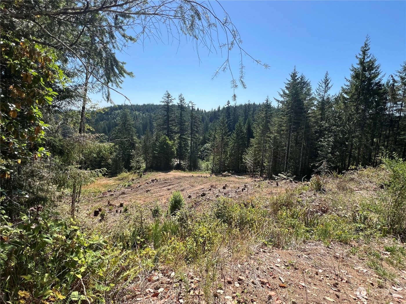 1 XXXX Mt Jupiter Road , Brinnon, WA 98320