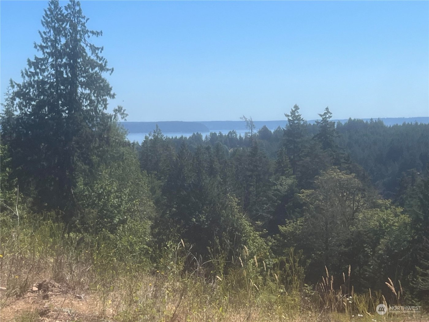 1 XXXX Mt Jupiter Road , Brinnon, WA 98320