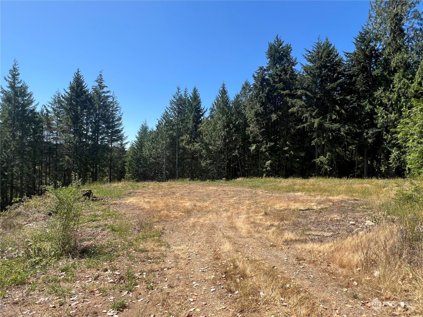 1 XXXX Mt Jupiter Road , Brinnon, WA 98320