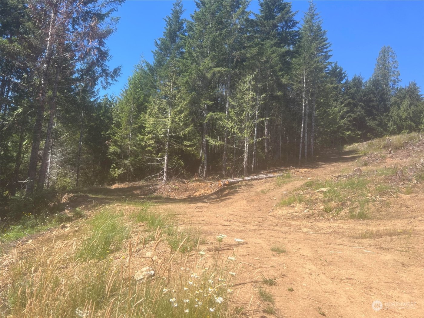 1 XXXX Mt Jupiter Road , Brinnon, WA 98320