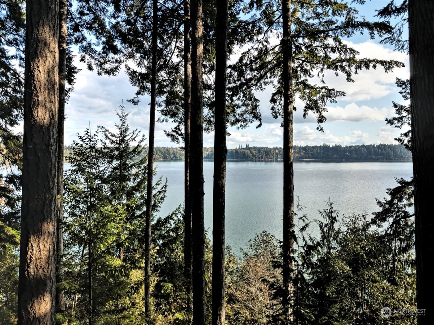 898 SE Dahman Road , Shelton, WA 98584