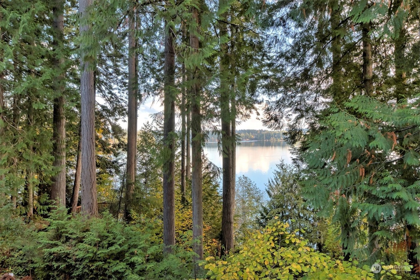 898 SE Dahman Road , Shelton, WA 98584