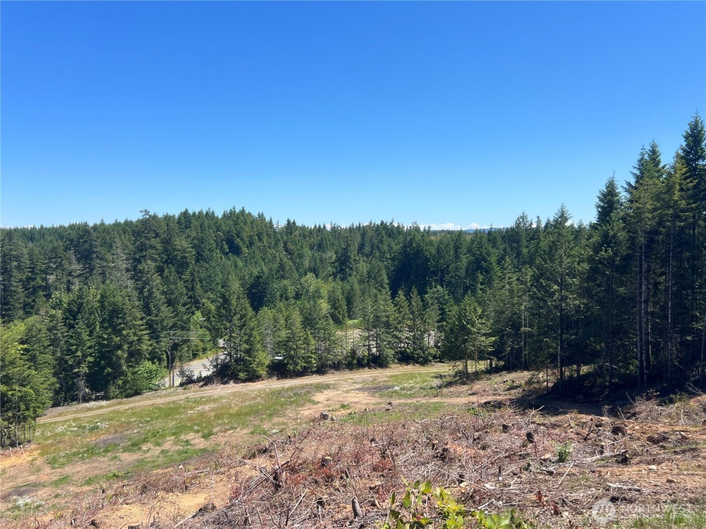 3 XXXX Mt Jupiter Road , Brinnon, WA 98320