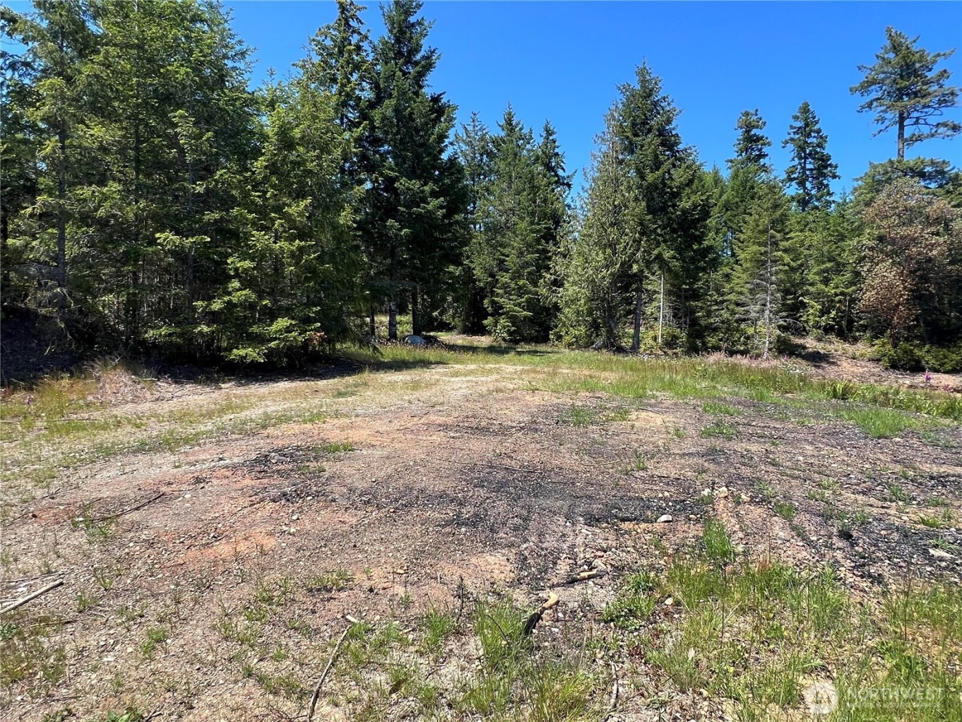 3 XXXX Mt Jupiter Road , Brinnon, WA 98320