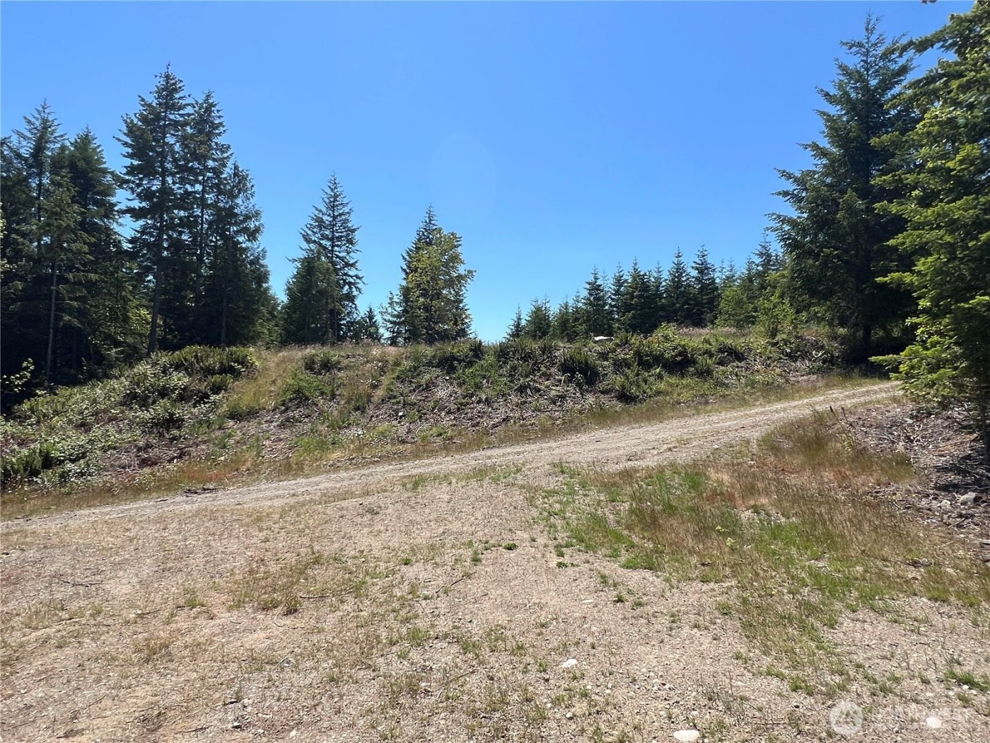 3 XXXX Mt Jupiter Road , Brinnon, WA 98320