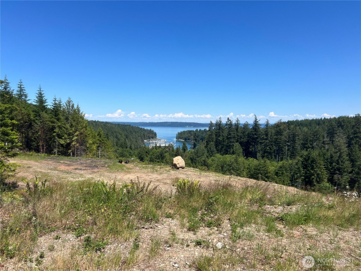 3 XXXX Mt Jupiter Road , Brinnon, WA 98320