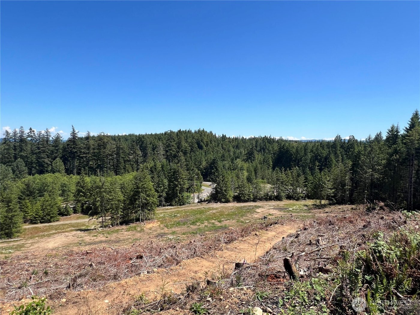 3 XXXX Mt Jupiter Road , Brinnon, WA 98320