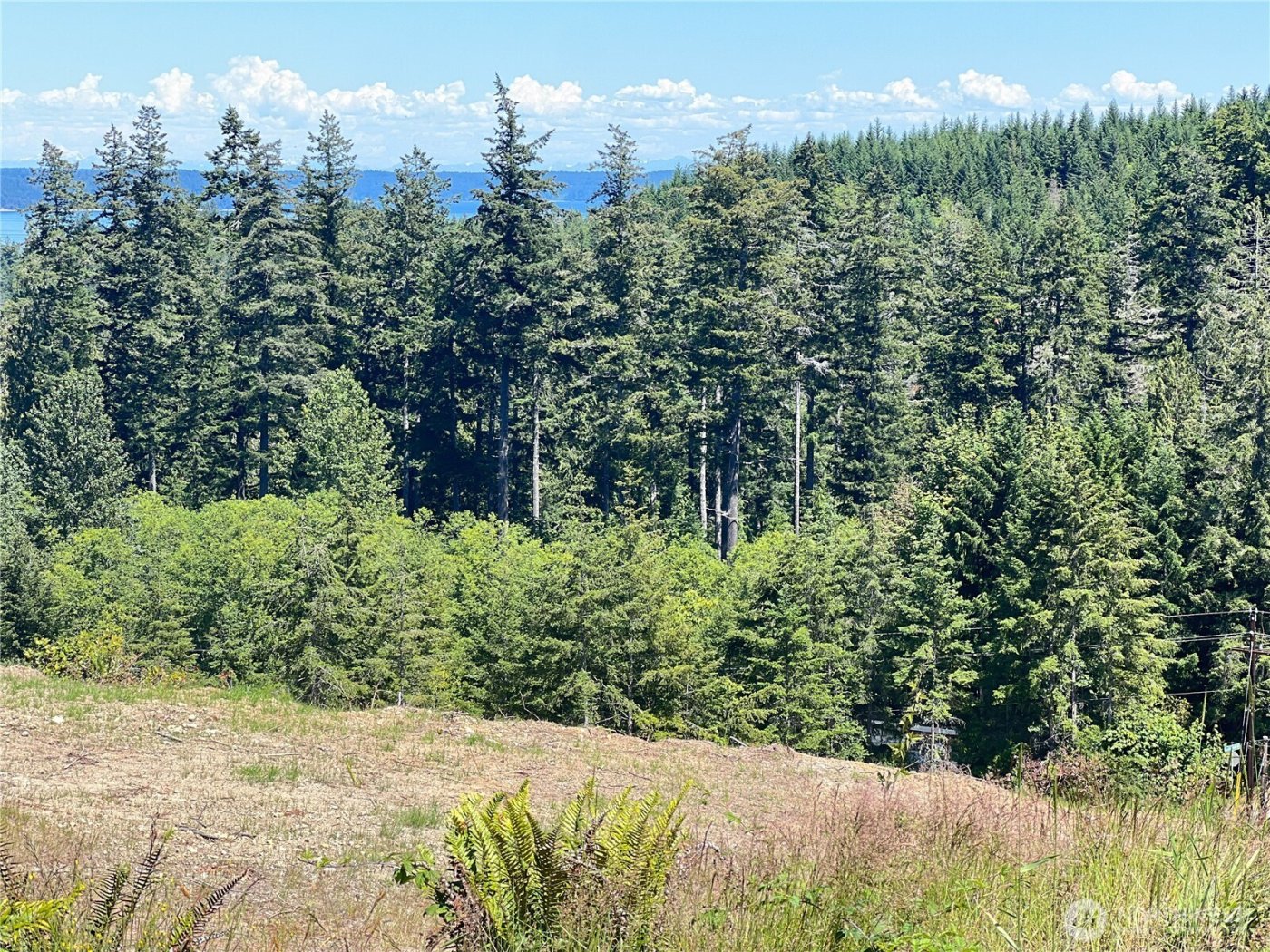 3 XXXX Mt Jupiter Road , Brinnon, WA 98320