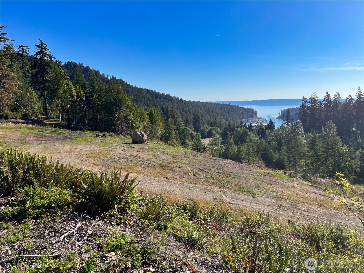 3 XXXX Mt Jupiter Road , Brinnon, WA 98320